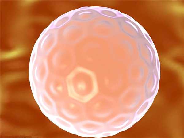 胚胎移植并非都能一次就成功，这3大条件不可或缺！